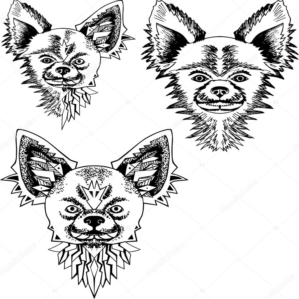 1022x1023 Hand Drawn Chihuahua Head Sketch. Vector. Stock Vector