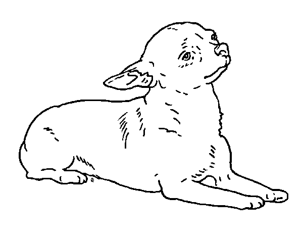 600x477 Order A Personalized Pet Memorial Stone