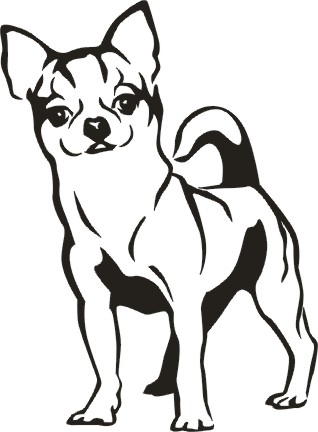 318x432 Chihuahua Show Your Love For Your Chihuahua With Our Unique