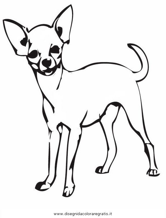 576x754 Chihuahua Coloring Pages