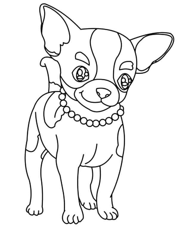 600x775 Chihuahua Coloring Pages Chihuahua Coloring Page Snap Cara Ideas