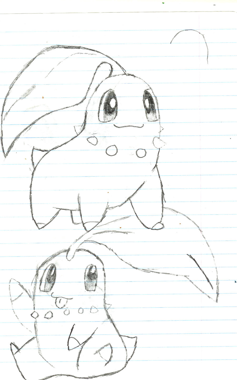 900x1440 Chikorita Sketches By Muddyk
