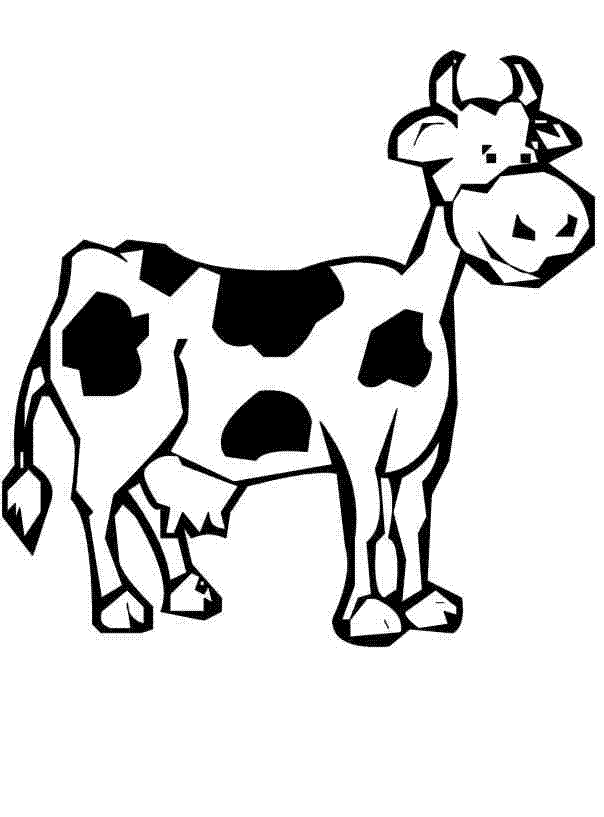604x817 Cow Pictures For Kids