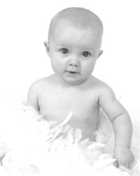 480x600 Family, Children And Commercial Portraits Century Photography