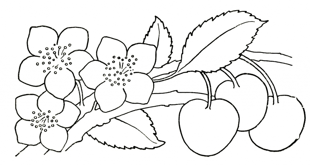 1024x546 Simple Drawing For Children Flowers Drawing For Kids Free