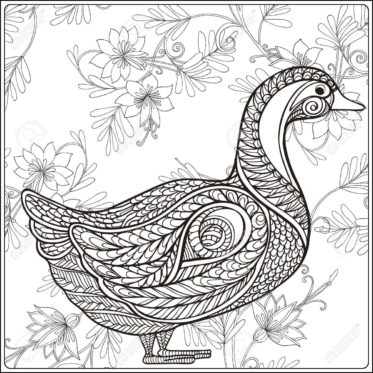 1300x1300 Duck On Floral Background. Coloring Book For Adult And Older