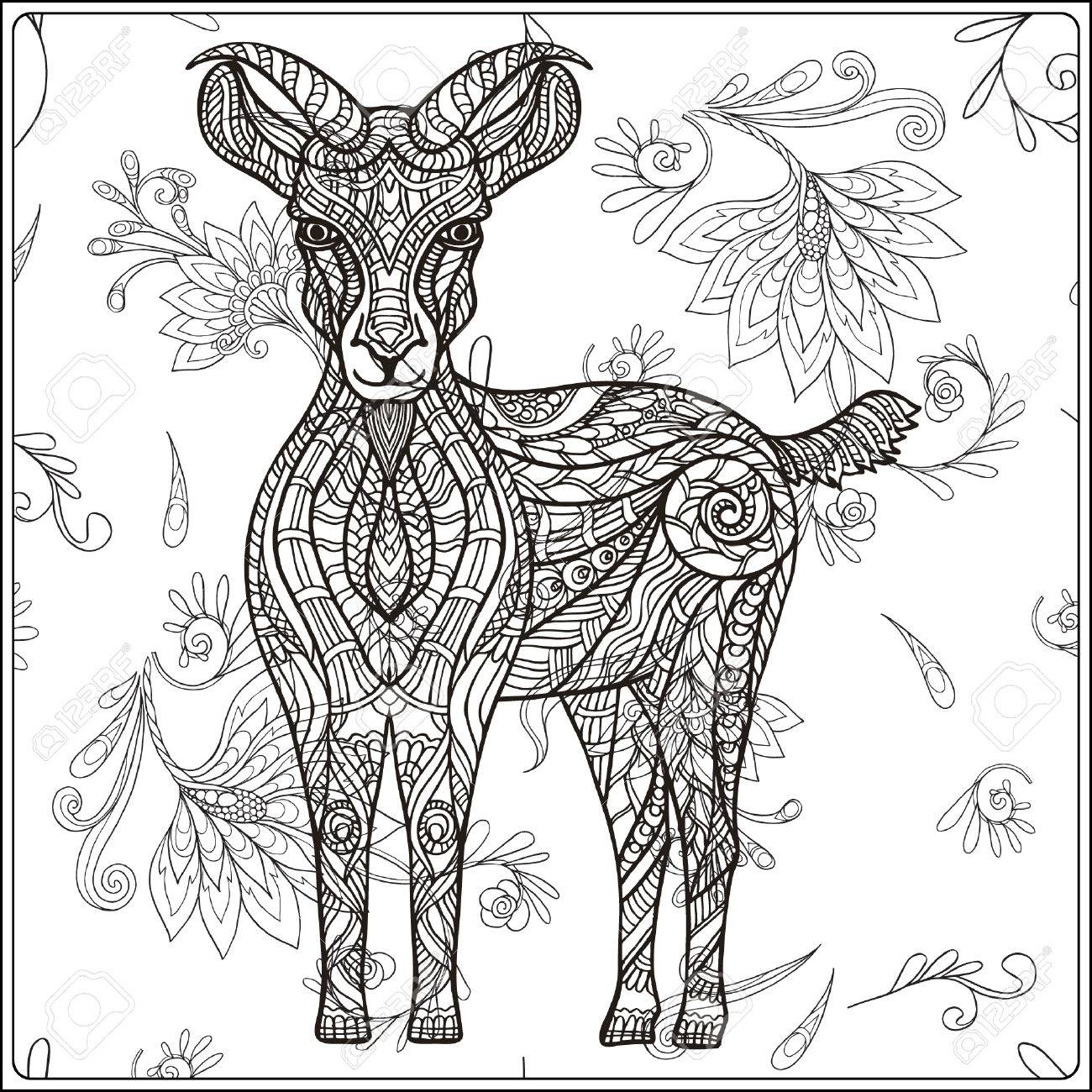1300x1300 Goat On Floral Background. Coloring Book For Adult And Older