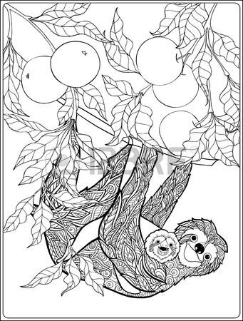 341x450 Horse In Garden. Vector Illustration. Coloring Book For Adult