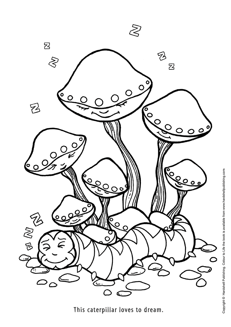 800x1132 Colour To Life A Colouring And Drawing Book! Creative Pages