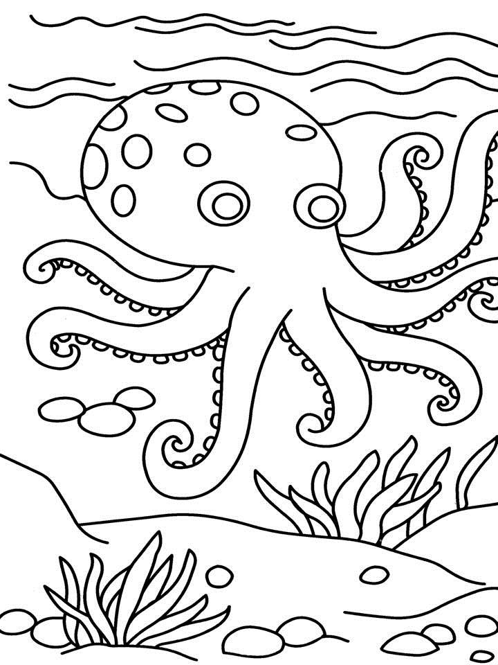 720x960 Best Octopus Coloring Pages Best Coloring Page