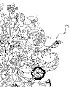 236x295 Drawing Youngs Coloring Book English Children Graffiti Books