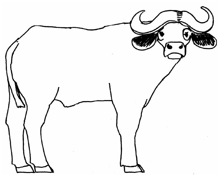 737x602 East African Alphabet Animal Stories