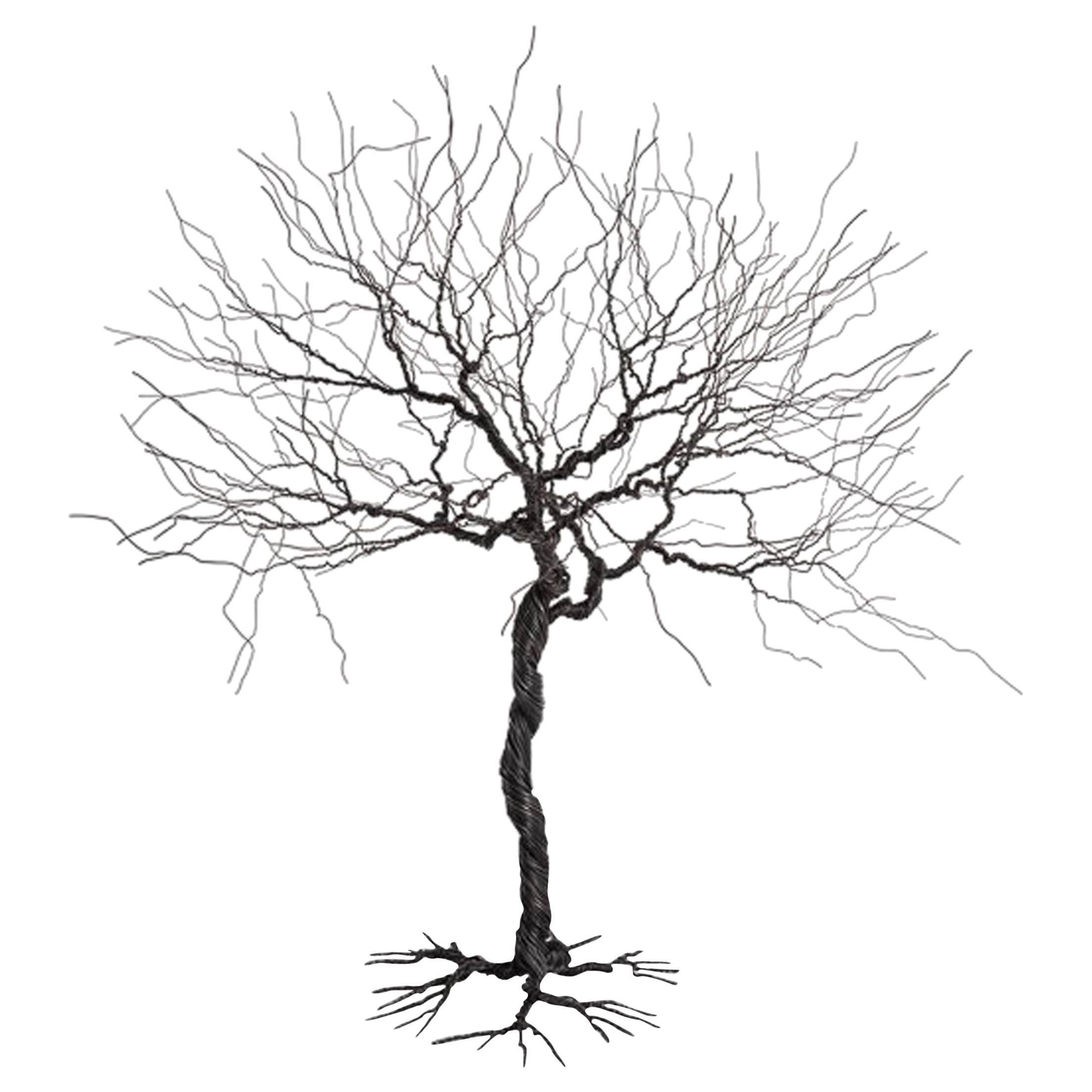 2206x2206 Chilean Furniture