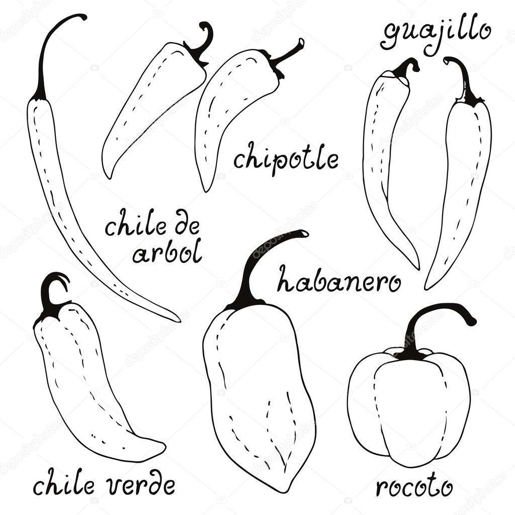 1024x1024 Chili Peppers