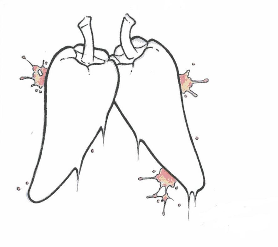 888x788 Red Hot Chile Peppers Tattoo