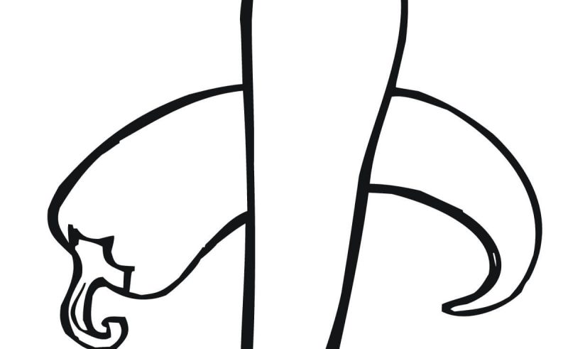 800x491 Flower Printables Coloring Pages Gardening Flower And Vegetables