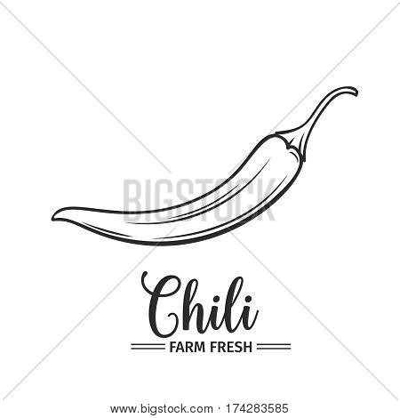 450x470 Hand Drawn Chili Pepper Icon. Vector Amp Photo Bigstock