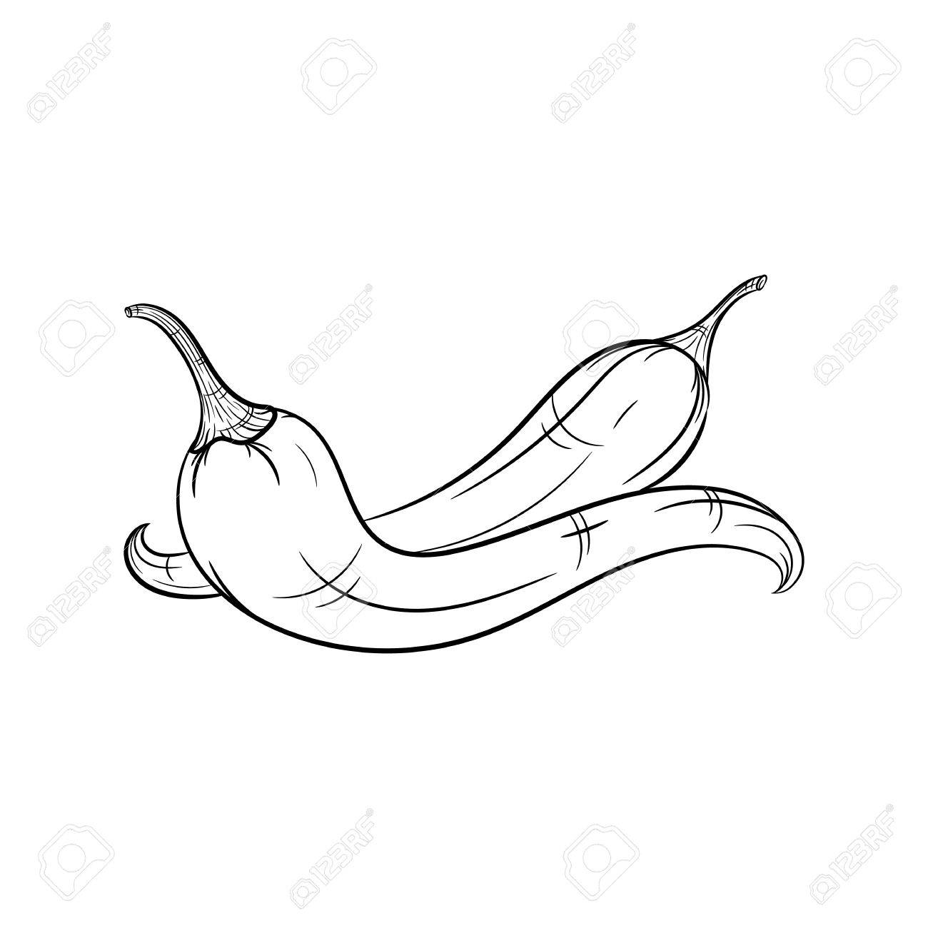 1300x1300 Chilli Illustration Isolated On White Background Royalty Free