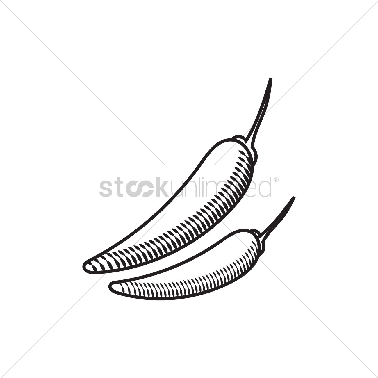 1300x1300 Chilli Peppers Vector Image