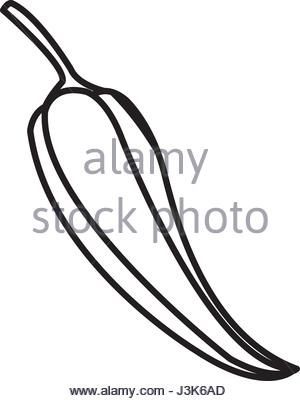 300x401 Drawing Chili Pepper Spice Food Stock Vector Art Amp Illustration
