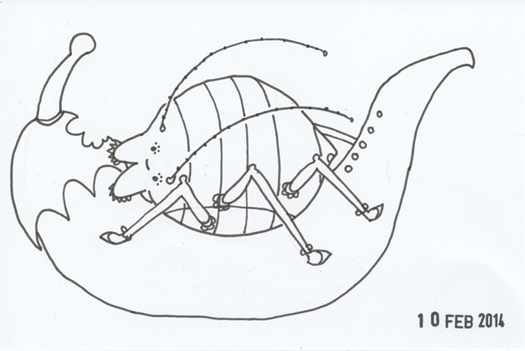 525x351 Daily Doodle Aphids Got To The Chilli Plant! Kerris Ganeson
