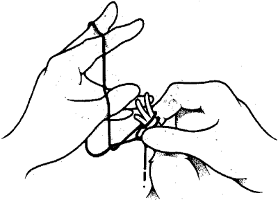 400x289 Development Of Fusarium Resistant Celery