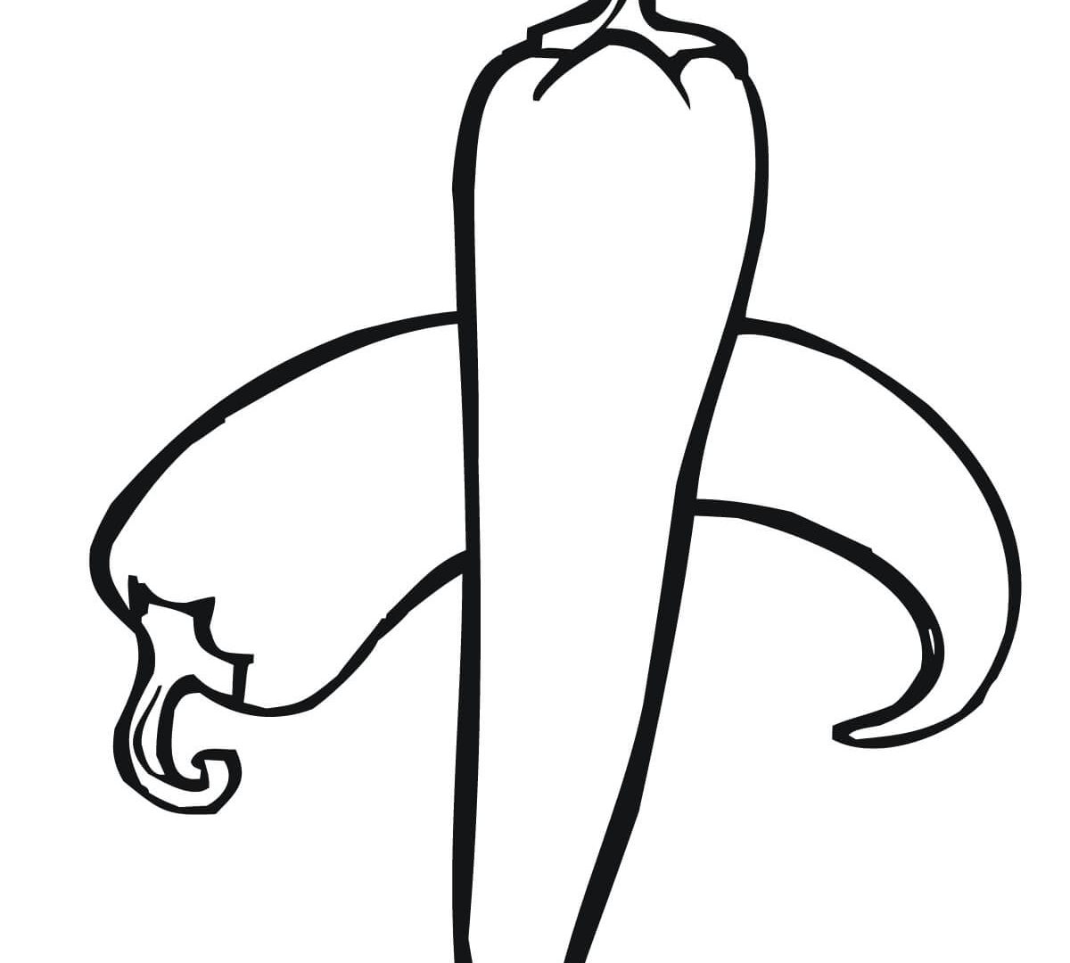 1200x1080 Chili Pepper Coloring Sheets Printable In Snazzy Print Draw Chilli