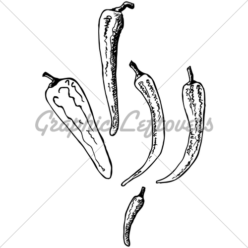 500x500 Chili Pepper Doodle Gl Stock Images