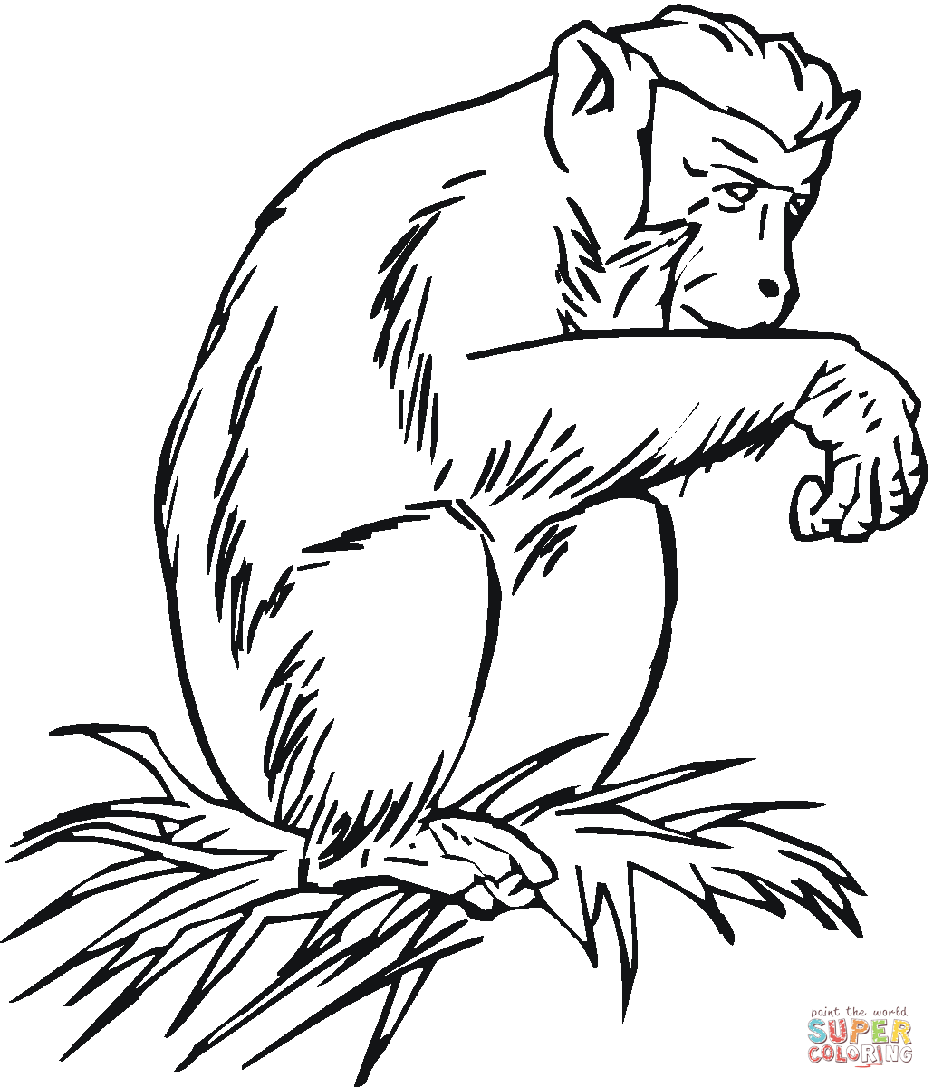 1030x1200 Chimpanzee Coloring Pages Free Coloring Pages