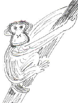 274x361 Chunky Monkey Rainforest Drawing Lessons,