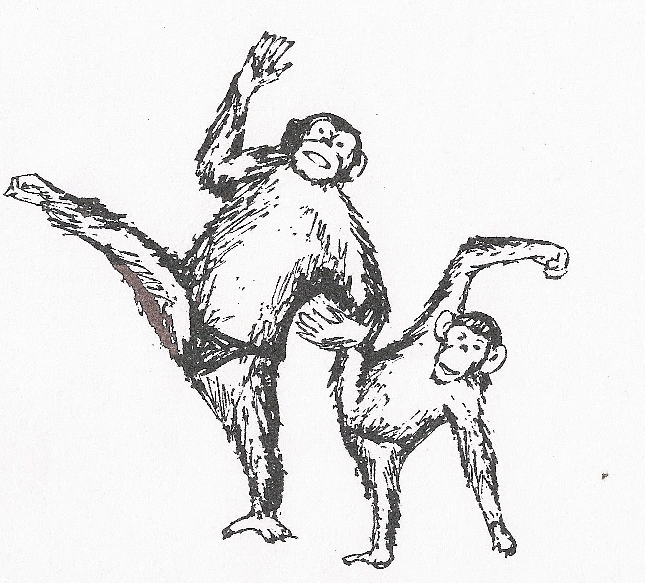 1304x1180 Jesus Amp Animals Chimps Made A Monkey Out Of Writer Christian