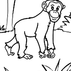 300x300 Online Free Coloring Pages For Kids