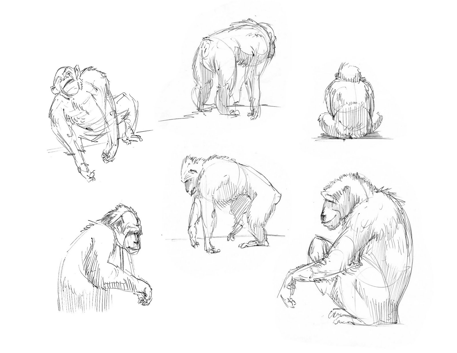 1600x1236 Rolled Up Sleeves 114 Animal Drawings 0908