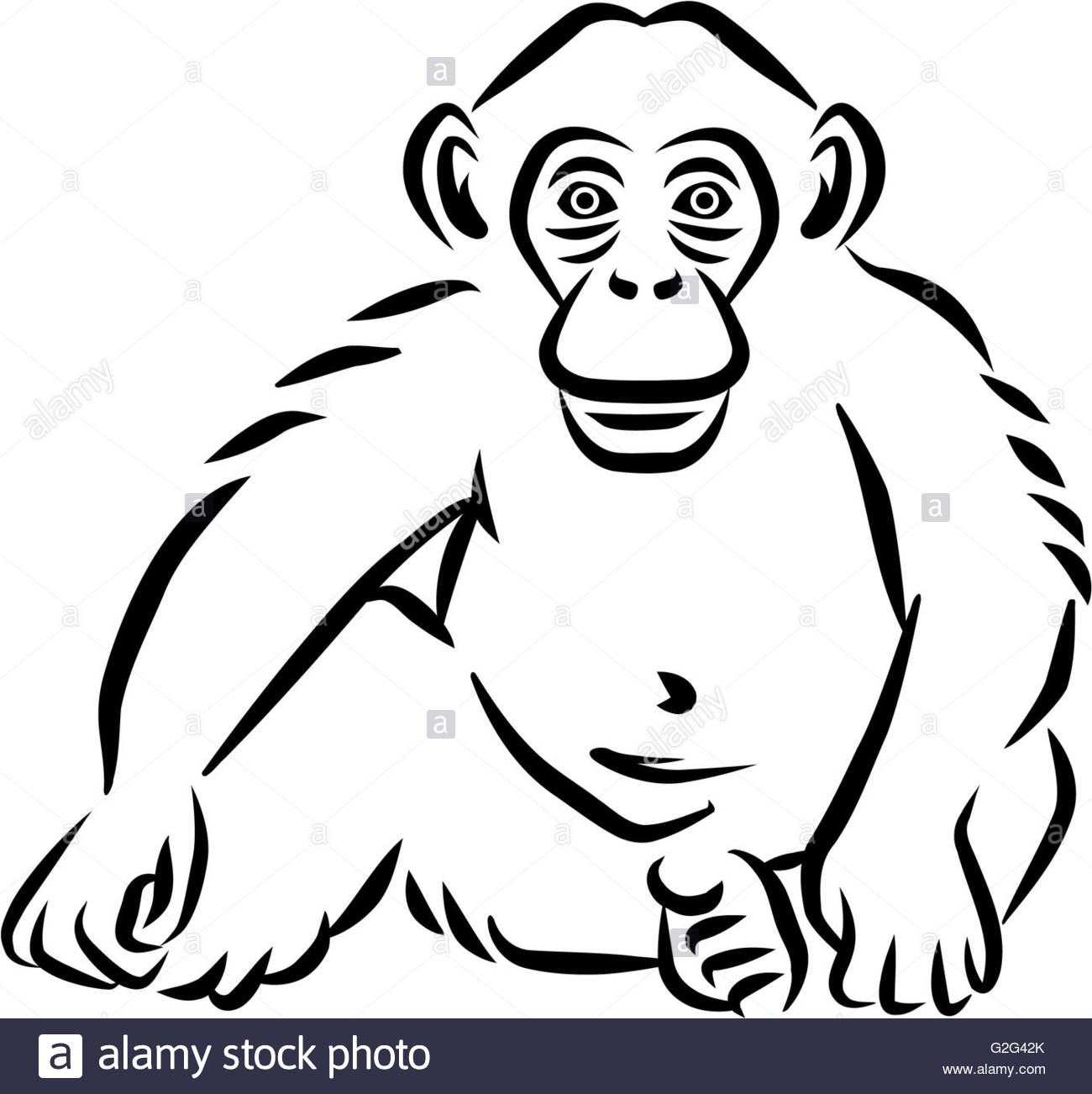 1300x1302 Sitting Baby Chimpanzee Hand Drawn Stock Photo, Royalty Free Image