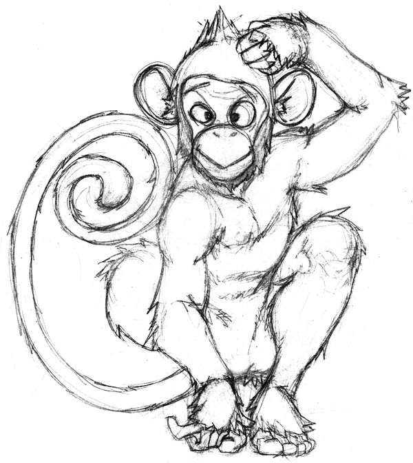 600x672 Chimp Drawing By Crosseyedchimp