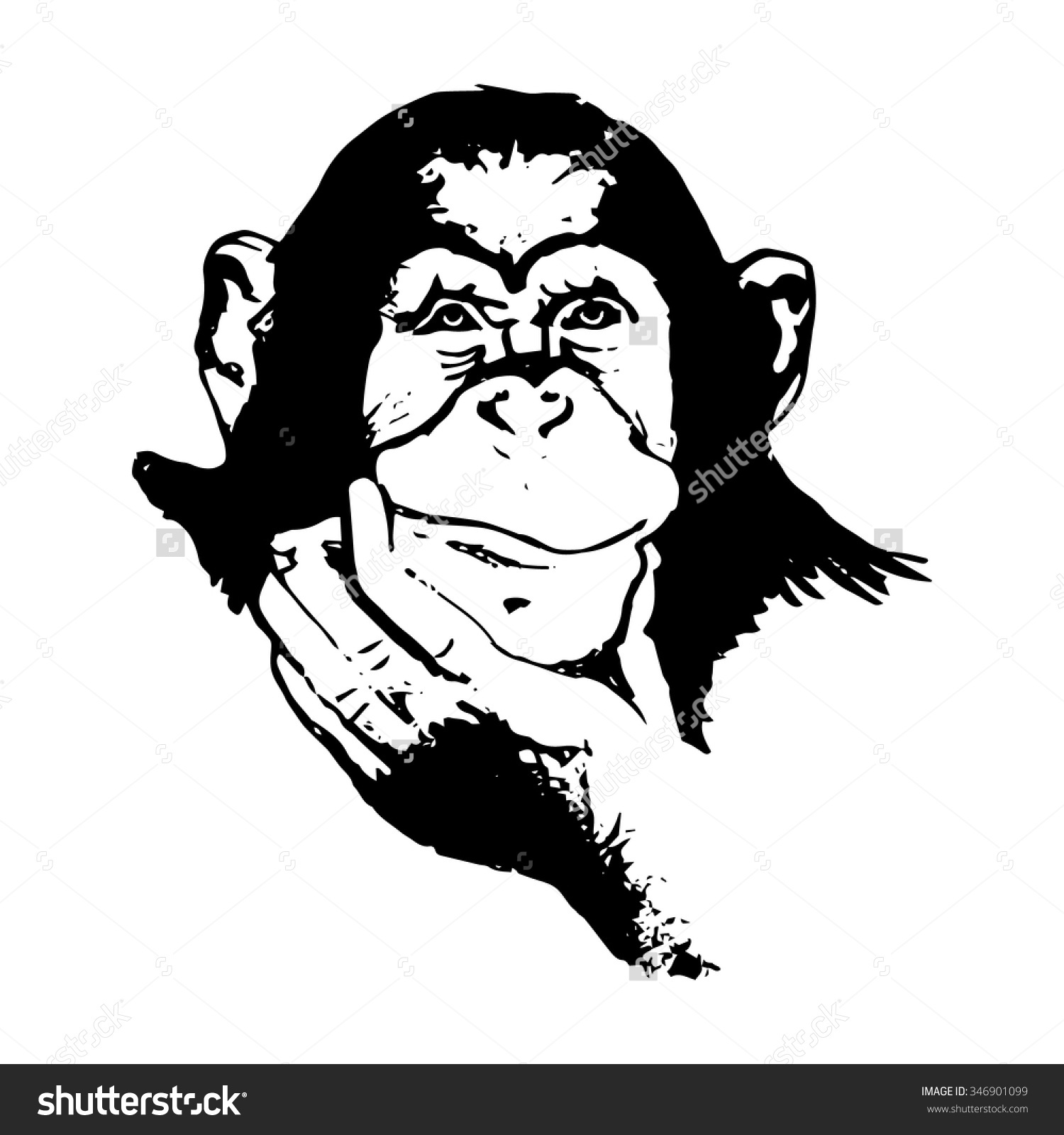 1500x1600 Stock Vector The Graphic Image Of The Monkey Monkey Head The Face