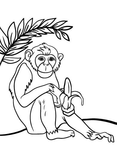 392x507 Chimpanzee Coloring Page