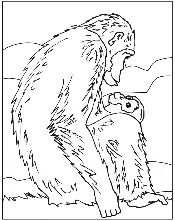 605x764 Chimpanzee Coloring Page