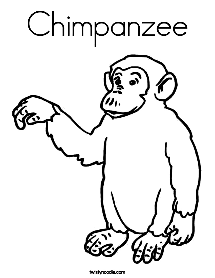 850x1099 Free Printable Chimpanzee Coloring Pages For Kids