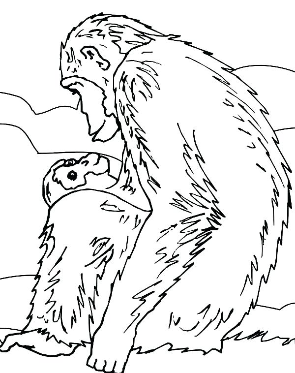600x758 Chimpanzee Coloring Page Omnitutor.co