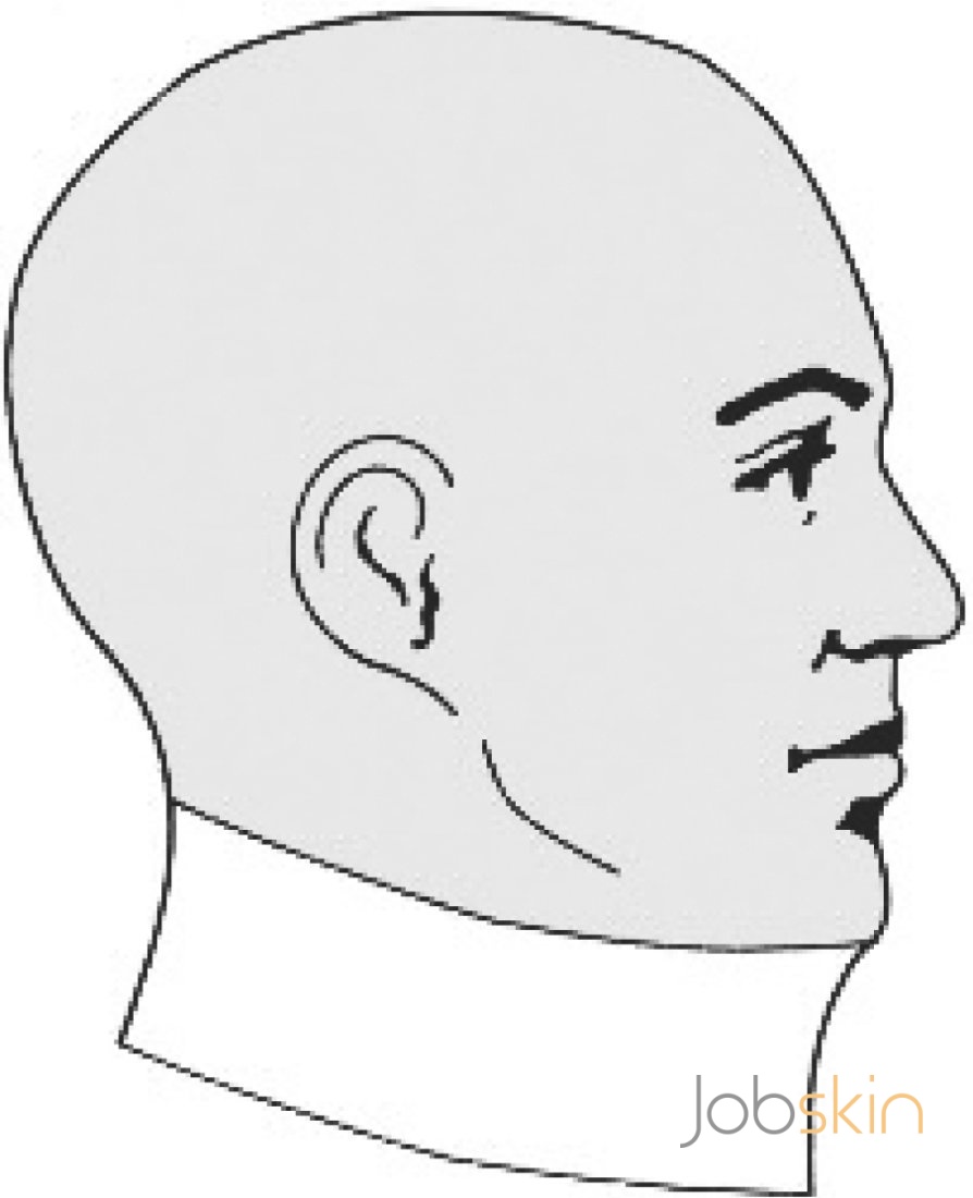 894x1100 Chin Extension Collar