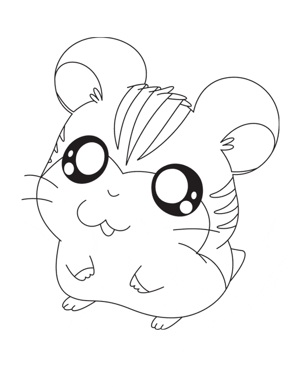 612x792 Chinchilla Coloring Page