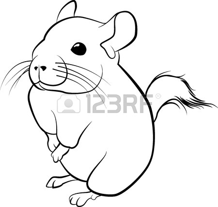 450x426 Cute Chinchilla Line Art. Black Line Illustration Royalty Free