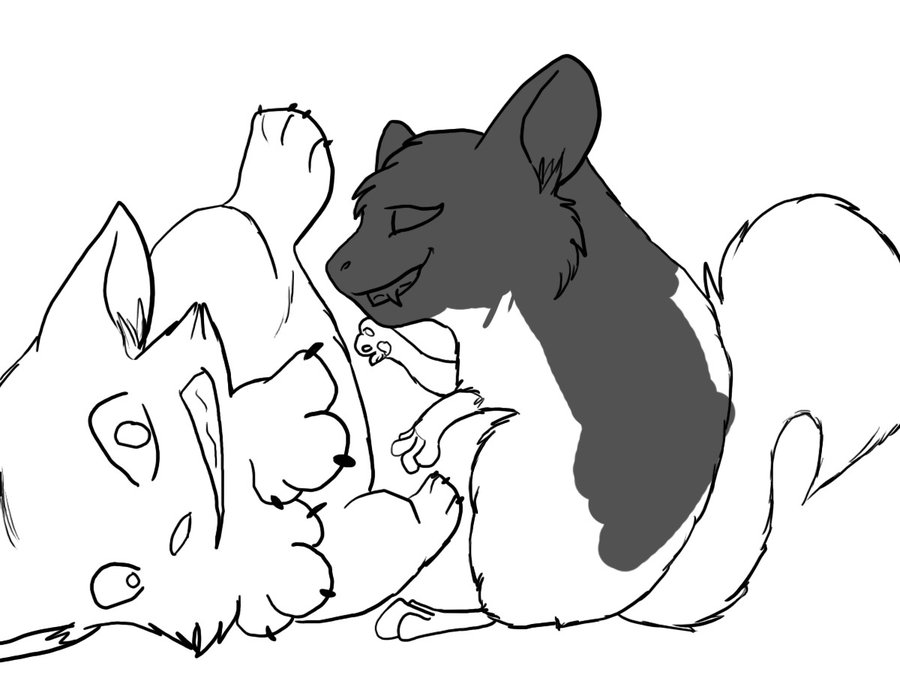 900x675 Evil Chinchilla By Iceshadow13