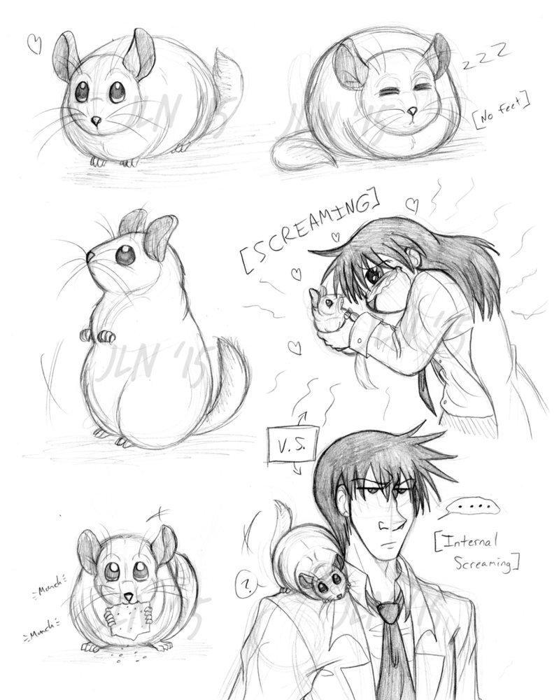 799x1000 Gallows Chinchilla Au Doodles By Xxpariahsxx