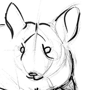 300x306 How To Draw A Chinchilla
