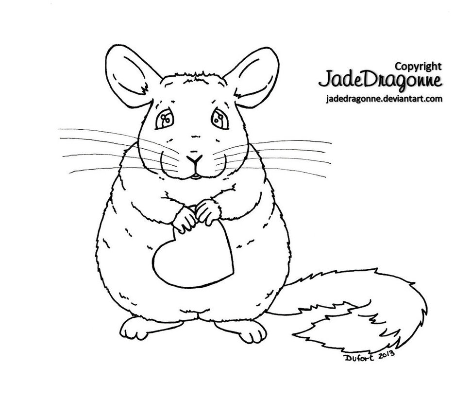 972x823 Loving Chinchilla By Jadedragonne