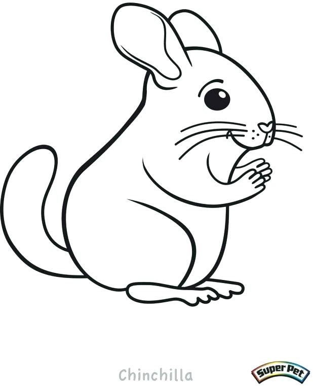 618x765 Mail Coloring Pages