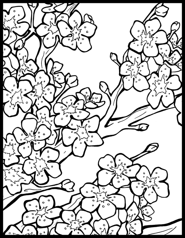 600x769 Chinese Lanterns Colouring Pages