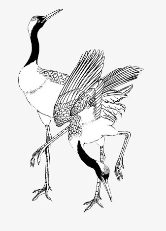 337x470 Crane Stick Figure, Chinese Style, Crane, Animal Png Image